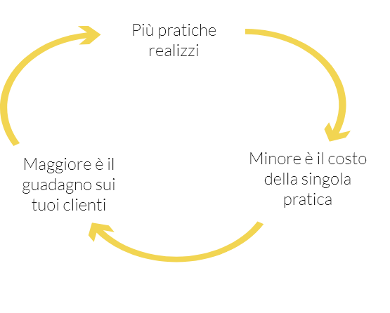 grafico programma member